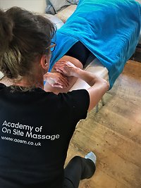 Therapies. Sports Massage 2.2